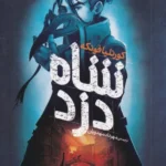 خرید کتاب شاه دزد اثر کورنلیا فونکه نشر افق