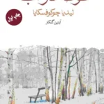 خرید کتاب غوطه در آب اثر لیدیا چوکوفسکایا نشر ماهی