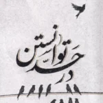 خرید کتاب در حد توانستن ، شعرگونه هایی از نادر ابراهیمی نشر امیرکبیر