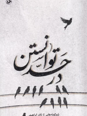 خرید کتاب در حد توانستن ، شعرگونه هایی از نادر ابراهیمی نشر امیرکبیر