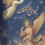 خرید کتاب نجوای فرشتگان اثر دکتر فاطمه فرجاد نشر ابریشمی