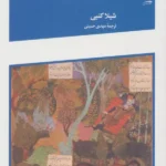 خرید کتاب نقاشی ایرانی اثر شیلا کنبی نشر آبان