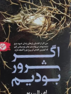 خرید کتاب اگر شرور بودیم اثر ام ال ریو نشر خلوت