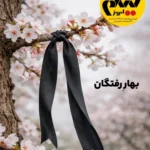 خرید مجله فیلم امروز شماره 61 فروردین و اردیبهشت 1405
