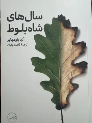 خرید کتاب سال های شاه بلوط اثر آنیا باومهایر نشر نوس
