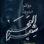 خرید کتاب شعر العجم 2 جلدی تاریخ شعرا و ادبیات ایران نشر علمی