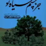 خرید کتاب جز چشم سیاه تو اثر سید مهدی شجاعی نشر نیستان