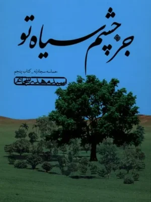 خرید کتاب جز چشم سیاه تو اثر سید مهدی شجاعی نشر نیستان
