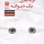 خرید کتاب گربه های یک دیوانه اثر بهزاد نهاوند نشر قصه باران
