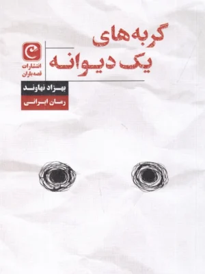 خرید کتاب گربه های یک دیوانه اثر بهزاد نهاوند نشر قصه باران