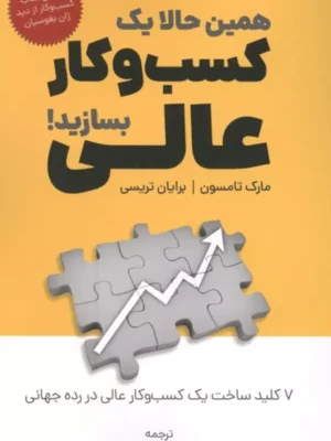 خرید کتاب همین حالا یک کسب و کار عالی بسازید اثر مارک تامسون نشر کلید آموزش