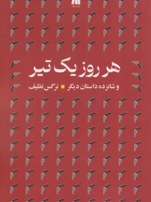 خرید کتاب هر روز یک تیر اثر نرگس نظیف نشر سنگ