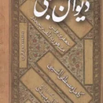 خرید کتاب دیوان شبلی ترجمه عباس میبدی نشر مولی