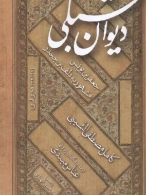 خرید کتاب دیوان شبلی ترجمه عباس میبدی نشر مولی