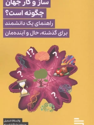 خرید کتاب ساز و کار جهان چگونه است اثر واتسلاف اسمیل نشر گودو