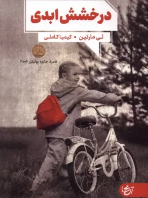 خرید کتاب درخشش ابدی اثر لی مارتین نشر آنجا