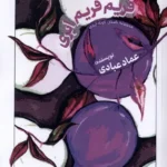 خرید کتاب فریم فریم ابری اثر عماد عبادی نشر نظام الملک