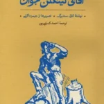 خرید کتاب آقای لینکلن جوان اثر کارل سندبرگ نشر کارنامه