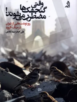 خرید کتاب وقتی گنجشک ها مضطرب می شوند اثر علی اصغر سیدآبادی نشر اگر