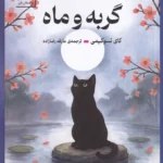 خرید کتاب گربه و ماه اثر کای تسوکیمی نشر سنگ
