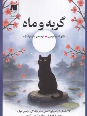 خرید کتاب گربه و ماه اثر کای تسوکیمی نشر سنگ