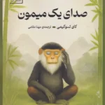 خرید کتاب صدای یک میمون اثر کای تسوکیمی نشر سنگ