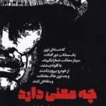 خرید کتاب چه معنی دارد اثر جمعی از نویسندگان نشر آیاس
