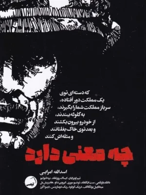 خرید کتاب چه معنی دارد اثر جمعی از نویسندگان نشر آیاس