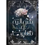خرید کتاب شوالیه و شاپرک جلد اول اثر ریچل گیلیگ نشر آذرباد - تصویر 2