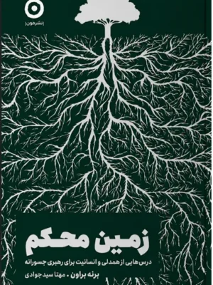 خرید کتاب زمین محکم اثر برنه براون نشر مون