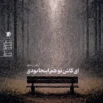 خرید کتاب ای کاش تو هم اینجا بودی اثر آرش زندی نشر سیب سرخ