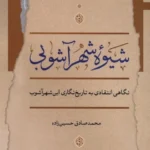 خرید کتاب شیوه شهر آشوبی اثر محمدصادق حسین زاده نشر نگاه معاصر