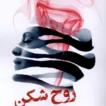 خرید کتاب روح شکن اثر سباستین فیتسک نشر تندیس