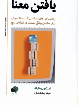 خرید کتاب یافتن معنا اثر استیون هاینه نشر سایلاو