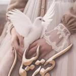 خرید کتاب کبوتر لیلی اثر شبنم سعادتی نشر شقایق