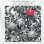 خرید کتاب سیب سرخ سرنوشت اثر دکتر علی عین علیلو نشر اساطیر پارسی