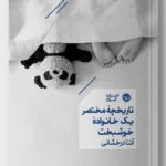 خرید کتاب تاریخچه مختصر یک خانواده خوشبخت اثر آتنا درخشانی نشر خوب