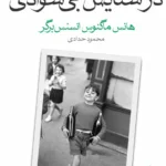خرید کتاب در ستایش بی سوادی اثر هانس ماگنوس انسنس برگر نشر ماهی