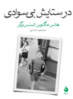 خرید کتاب در ستایش بی سوادی اثر هانس ماگنوس انسنس برگر نشر ماهی