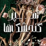 خرید کتاب سپر گنجشک ها جلد اول اثر دونی پری نشر آذرباد