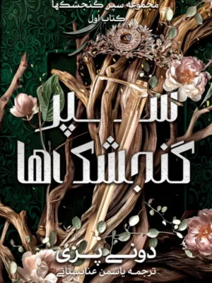 خرید کتاب سپر گنجشک ها جلد اول اثر دونی پری نشر آذرباد